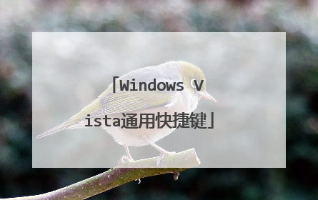 Windows Vista通用快捷键