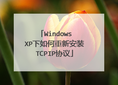 Windows XP下如何重新安装TCPIP协议