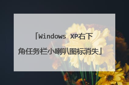 Windows XP右下角任务栏小喇叭图标消失