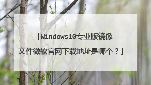 Windows10专业版镜像文件微软官网下载地址是哪个?