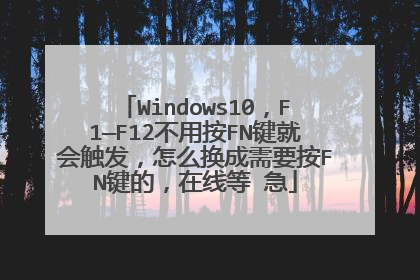 Windows10,F1—F12不用按FN键就会触发,怎么换成需要按FN键的,在线等 急