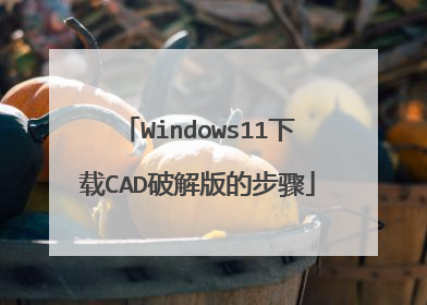 Windows11下载CAD破解版的步骤
