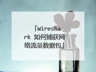 Wireshark 如何捕获网络流量数据包