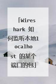 Wireshark 如何监听本地localhost 的某个端口的包