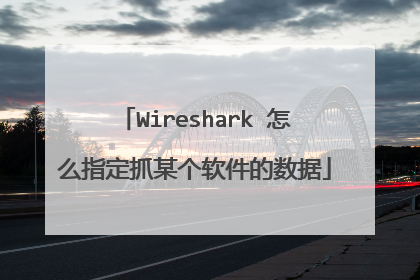 Wireshark 怎么指定抓某个软件的数据