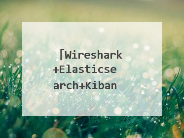 Wireshark+Elasticsearch+Kibana打造流量回溯系统