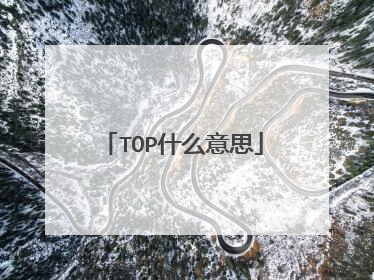 TOP什么意思