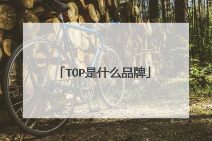 TOP是什么品牌