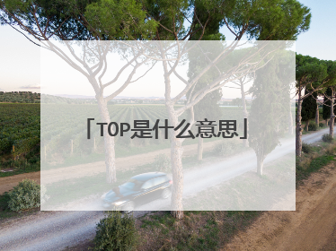TOP是什么意思