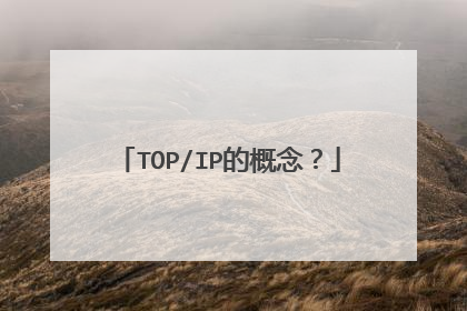 TOP/IP的概念?