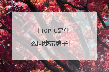 TOP-U是什么同步带牌子