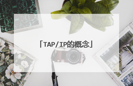 TAP/IP的概念