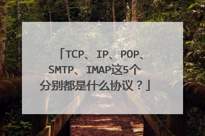 TCP、IP、POP、SMTP、IMAP这5个分别都是什么协议?