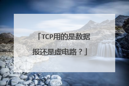 TCP用的是数据报还是虚电路?
