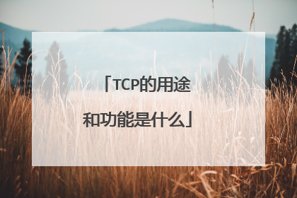 TCP的用途和功能是什么