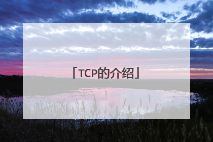 TCP的介绍