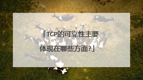 TCP的可靠性主要体现在哪些方面?