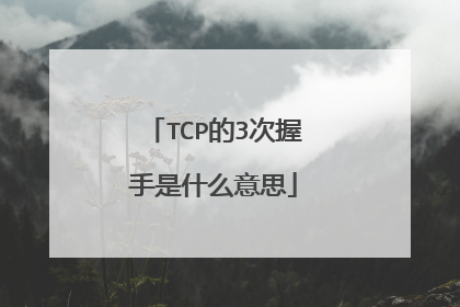 TCP的3次握手是什么意思