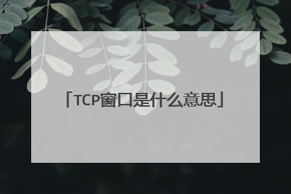 TCP窗口是什么意思