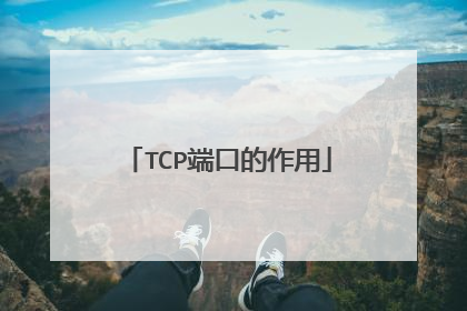 TCP端口的作用