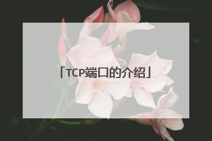 TCP端口的介绍