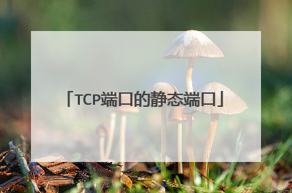 TCP端口的静态端口