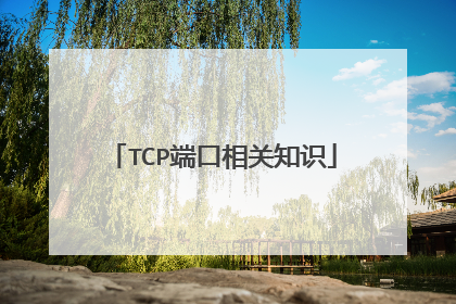 TCP端口相关知识