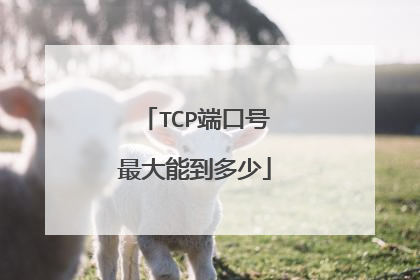 TCP端口号最大能到多少