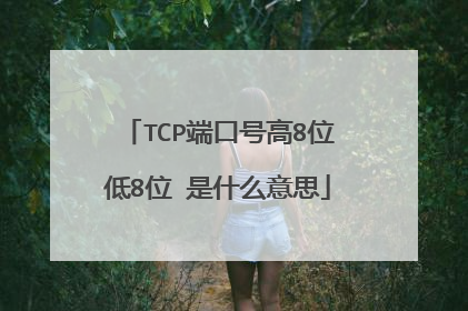 TCP端口号高8位低8位 是什么意思