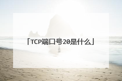 TCP端口号20是什么