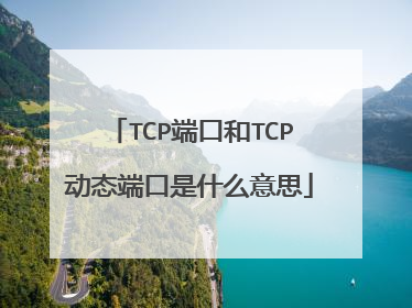 TCP端口和TCP动态端口是什么意思