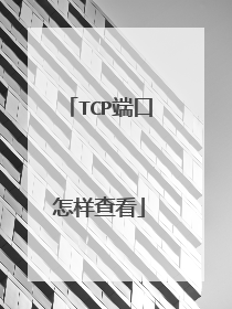 TCP端口怎样查看
