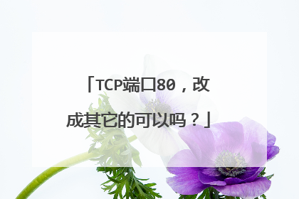 TCP端口80,改成其它的可以吗?