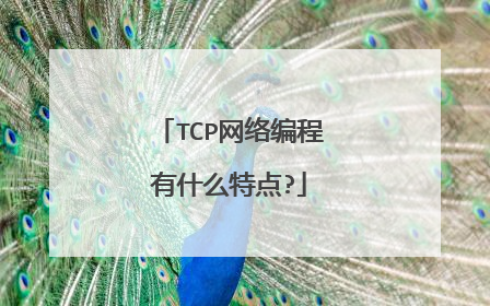TCP网络编程有什么特点?