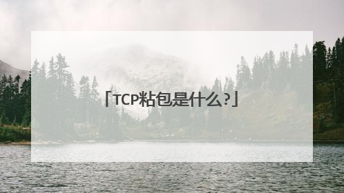 TCP粘包是什么?