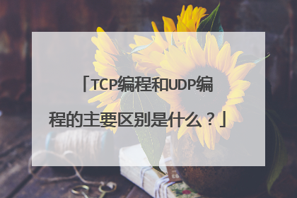 TCP编程和UDP编程的主要区别是什么?