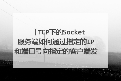 TCP下的Socket服务端如何通过指定的IP和端口号向指定的客户端发送数据 求一个简单的例子 使用java语言