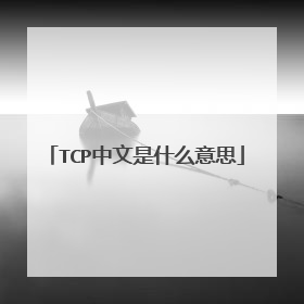 TCP中文是什么意思