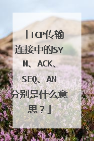 TCP传输连接中的SYN、ACK、SEQ、AN分别是什么意思？
