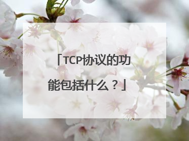 TCP协议的功能包括什么?