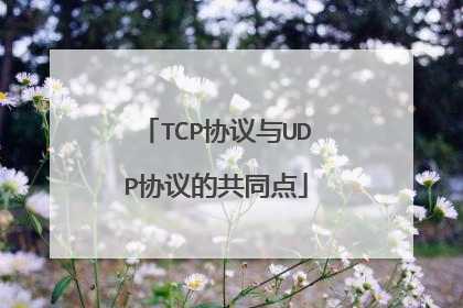 TCP协议与UDP协议的共同点
