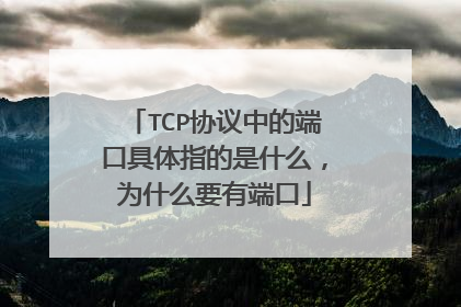 TCP协议中的端口具体指的是什么,为什么要有端口