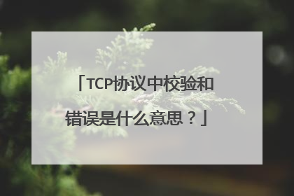 TCP协议中校验和错误是什么意思？