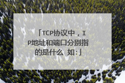 TCP协议中，IP地址和端口分别指的是什么 如: