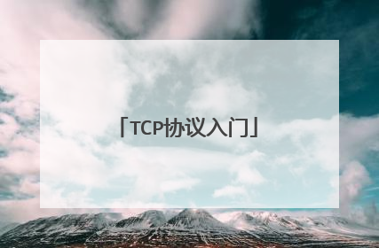 TCP协议入门