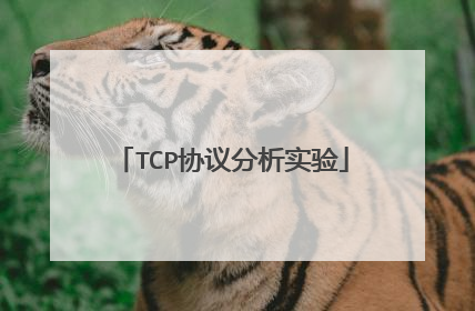 TCP协议分析实验
