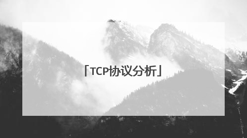 TCP协议分析