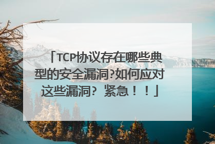 TCP协议存在哪些典型的安全漏洞?如何应对这些漏洞? 紧急！！