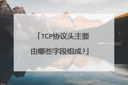 TCP协议头主要由哪些字段组成?