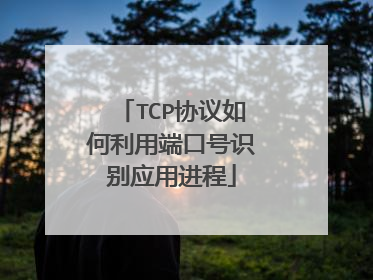 TCP协议如何利用端口号识别应用进程